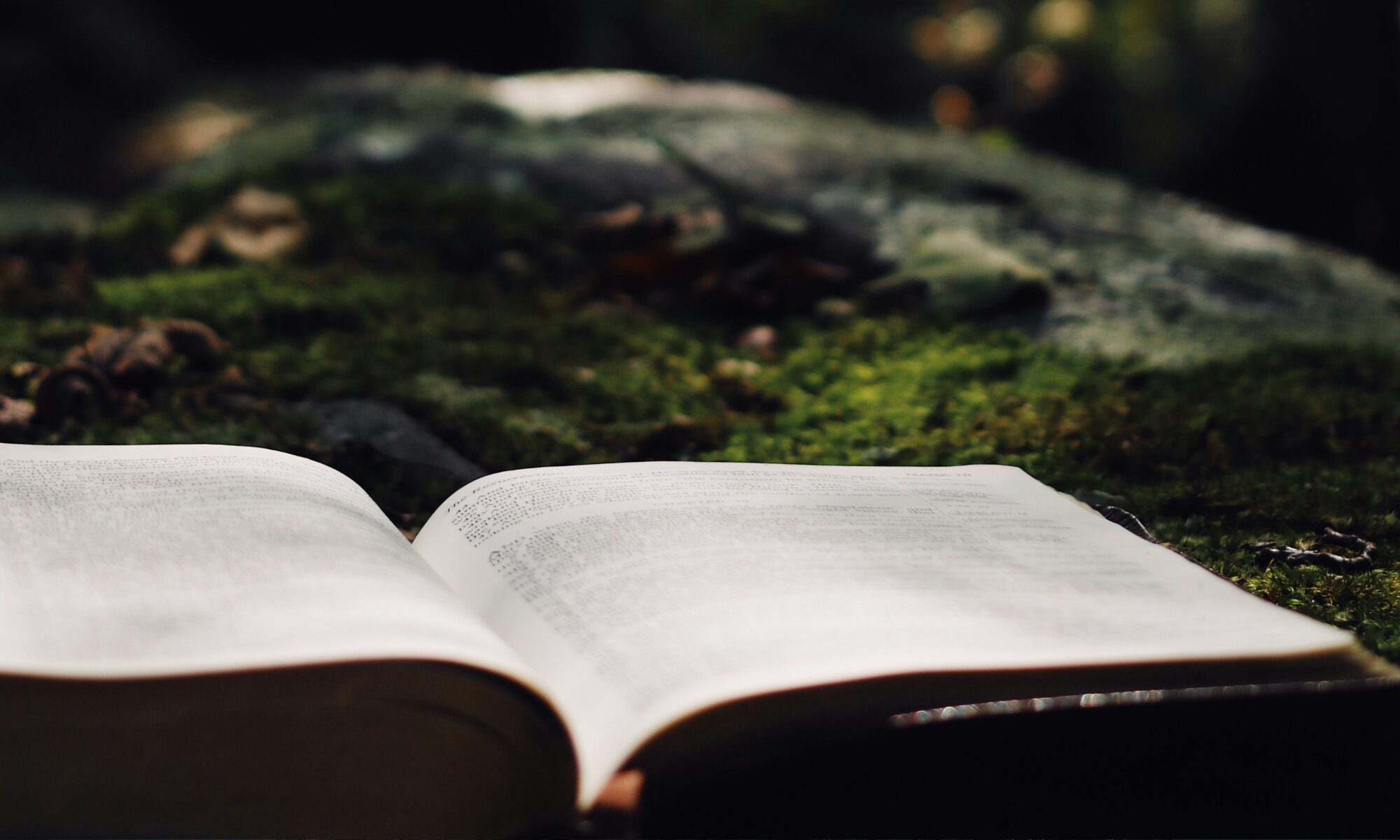 Are You Really Resting in God—or Just Hiding From Life?
